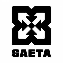 Logo Saeta Management